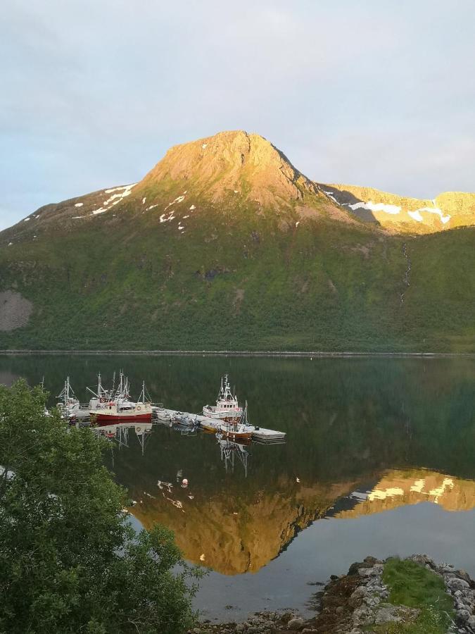 Ferienwohnung Waterfront Senja Torsken Exterior foto
