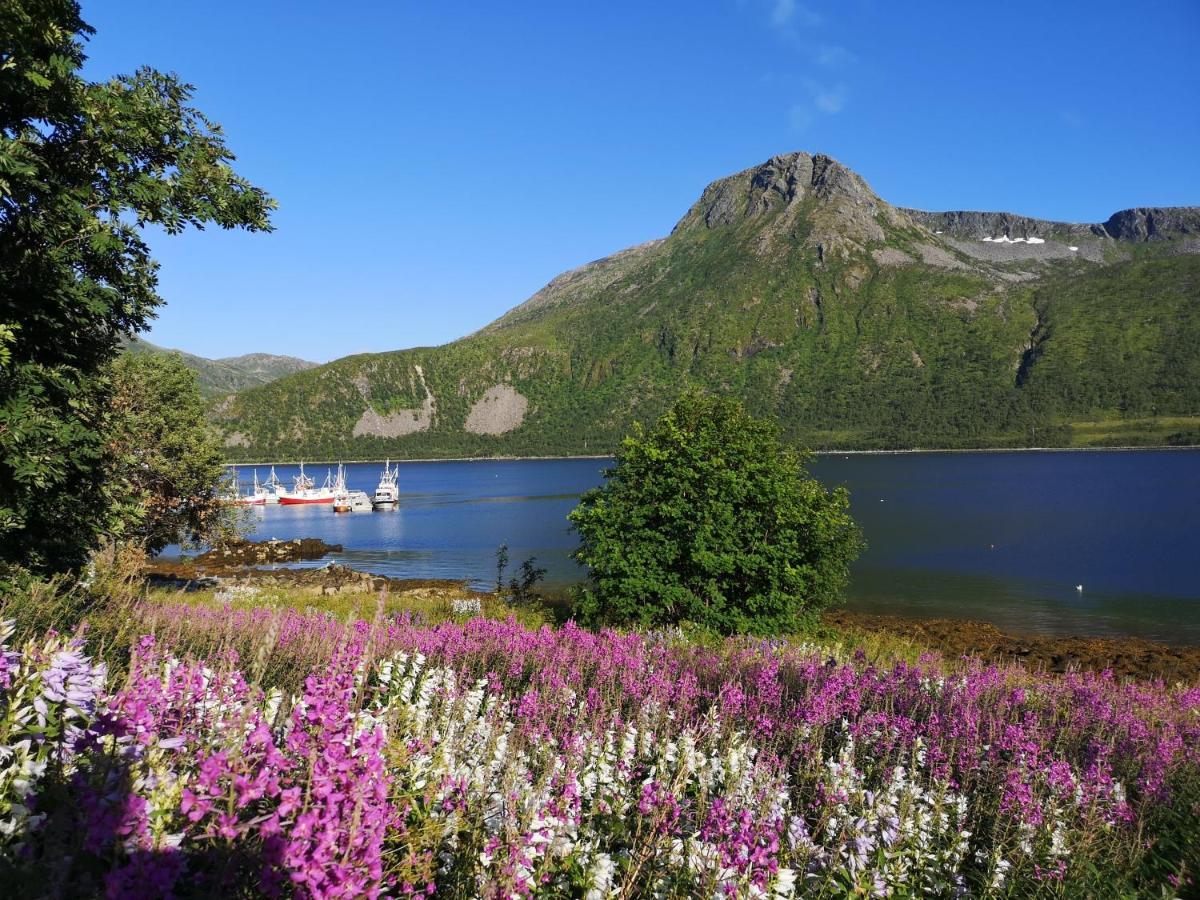 Ferienwohnung Waterfront Senja Torsken Exterior foto